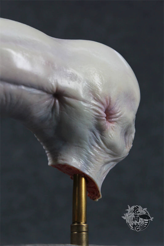 Alien Xenomorph Head Anatomy Customized Handmade Painted Resin Model Statue