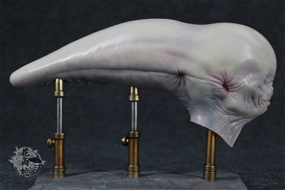 Alien Xenomorph Head Anatomy Customized Handmade Painted Resin Model Statue