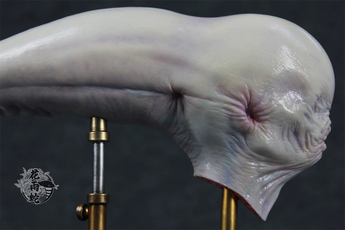 Alien Xenomorph Head Anatomy Customized Handmade Painted Resin Model Statue