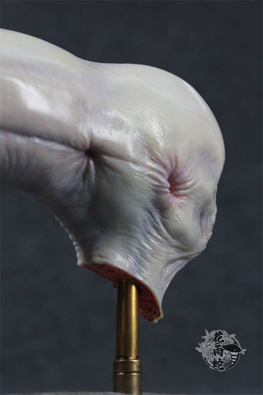 Alien Xenomorph Head Anatomy Customized Handmade Painted Resin Model Statue